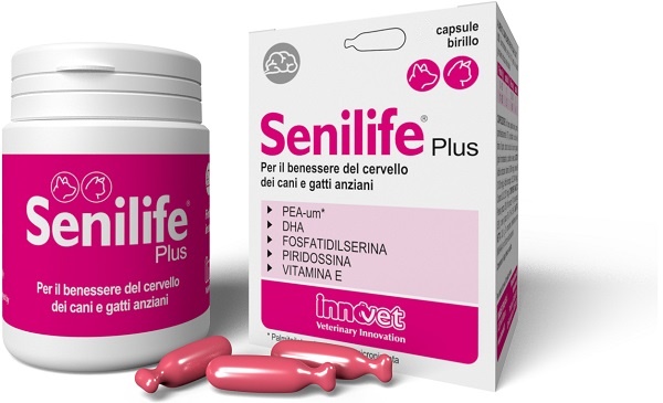SENILIFE PLUS 30 CAPSULE - Pharmaleader