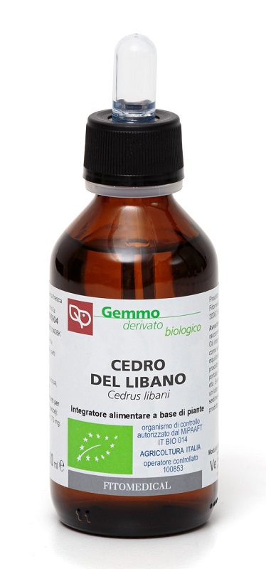CEDRO DEL LIBANO MACERATO GLICERICO 100 ML BIO - Pharmaleader