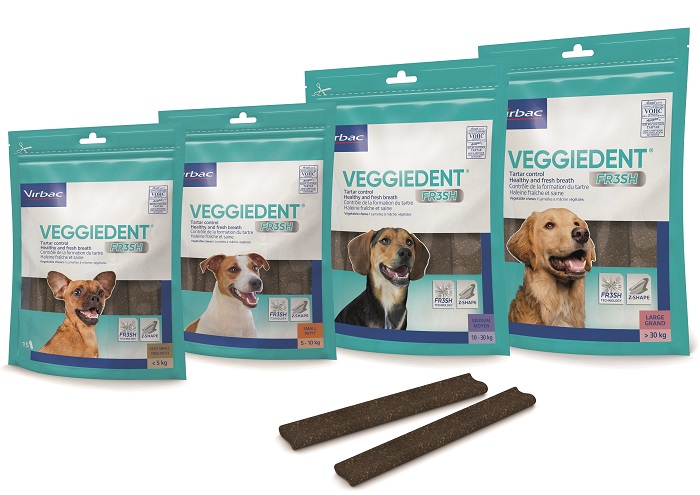 VEGGIEDENT FR3SH S 15 STICK - Pharmaleader