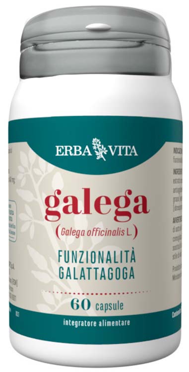 GALEGA 60 CAPSULE - Pharmaleader