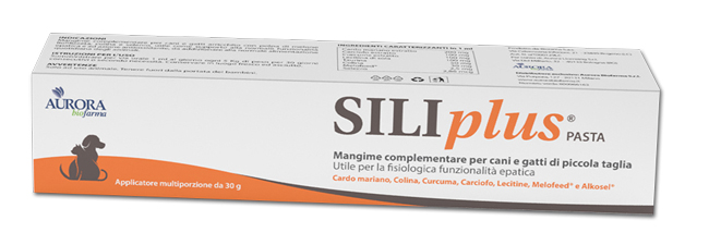 SILIPLUS PASTA 30 G - Pharmaleader
