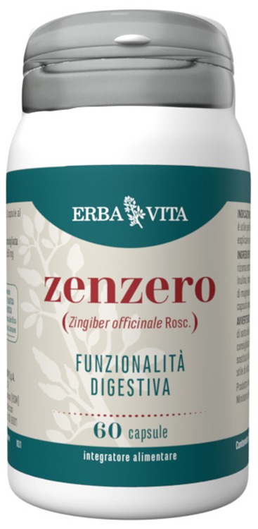 ZENZERO 60 CAPSULE - Pharmaleader