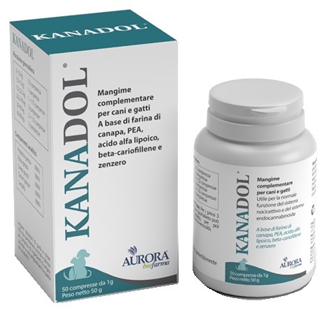 KANADOL 50 COMPRESSE - Pharmaleader