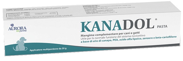KANADOL PASTA 30 G - Pharmaleader