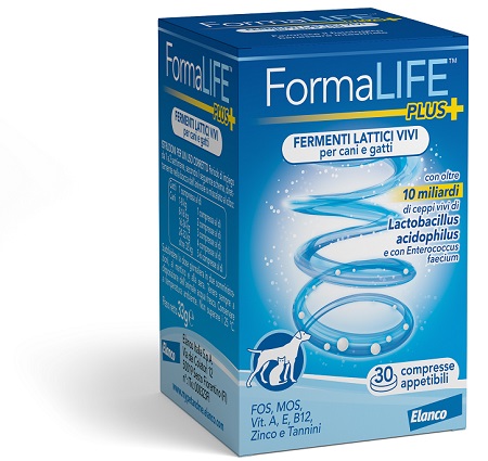 FORMALIFE PLUS FERMENTI LATTICI VIVI 30 COMPRESSE APPETIBILI - Pharmaleader